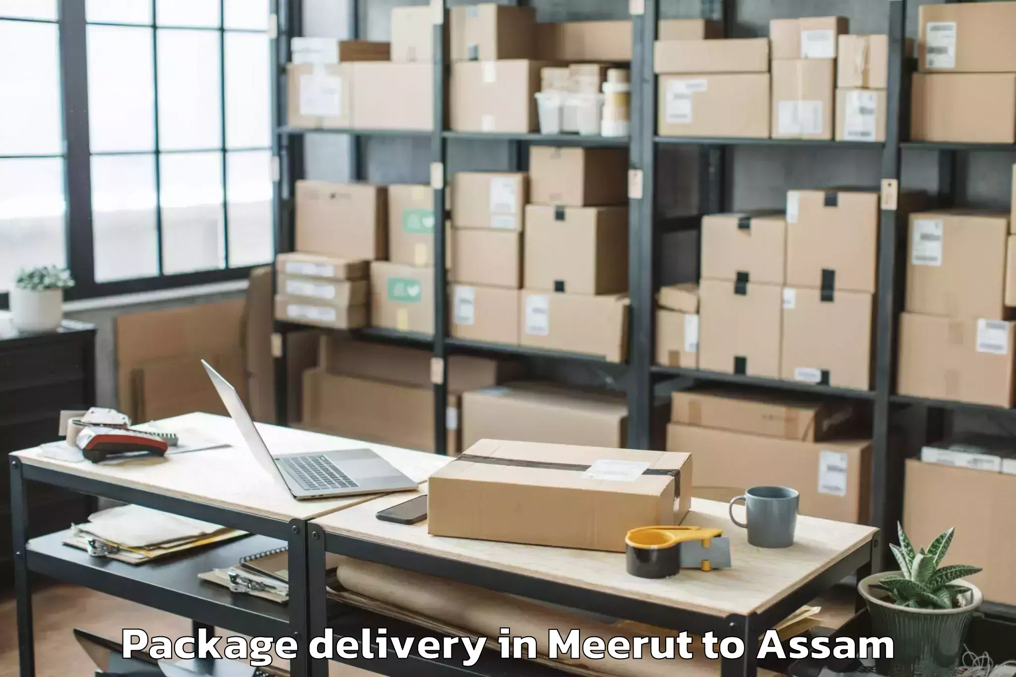 Reliable Meerut to Assam Package Delivery